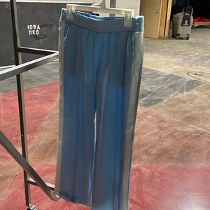 Wild fable pants size small